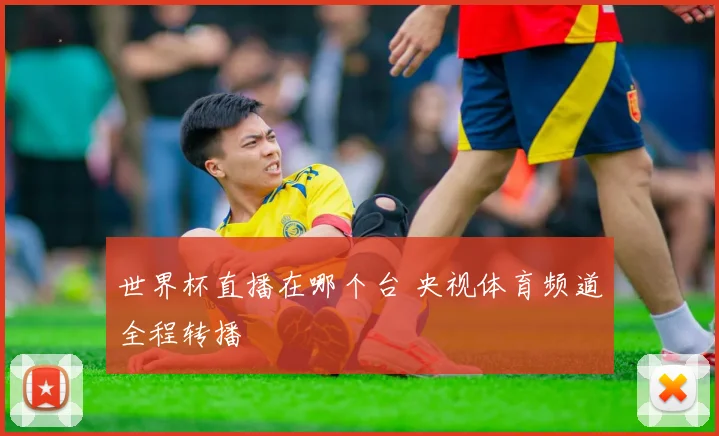 世界杯直播在哪个台 央视体育频道全程转播