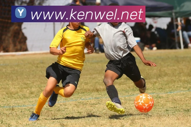 世界杯平台官网登录发展历程